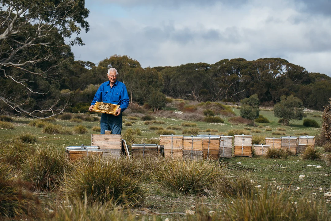 Welcome to Our Store